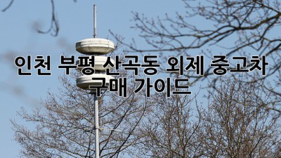 인천 부평 산곡동 외제 중고차 구매 가이드