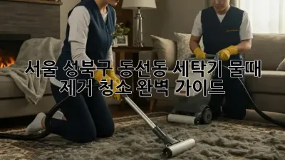 서울 성북구 동선동 세탁기 물때 제거 청소 완벽 가이드